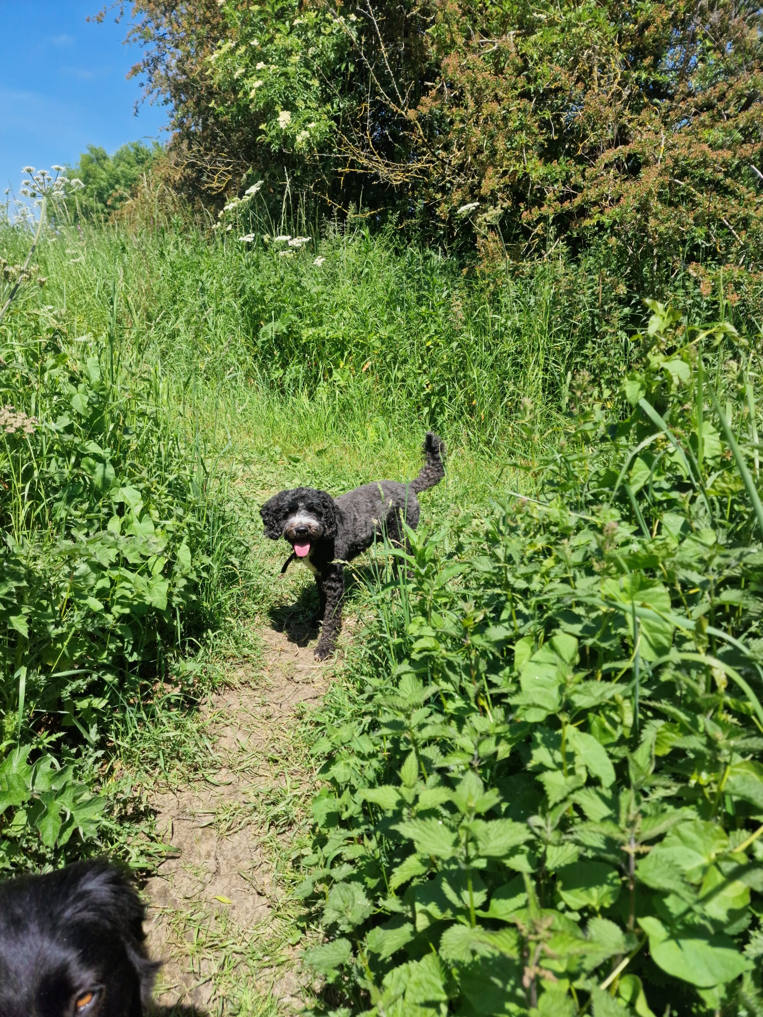 THE AMAZING SLIDESHOW ADDON!