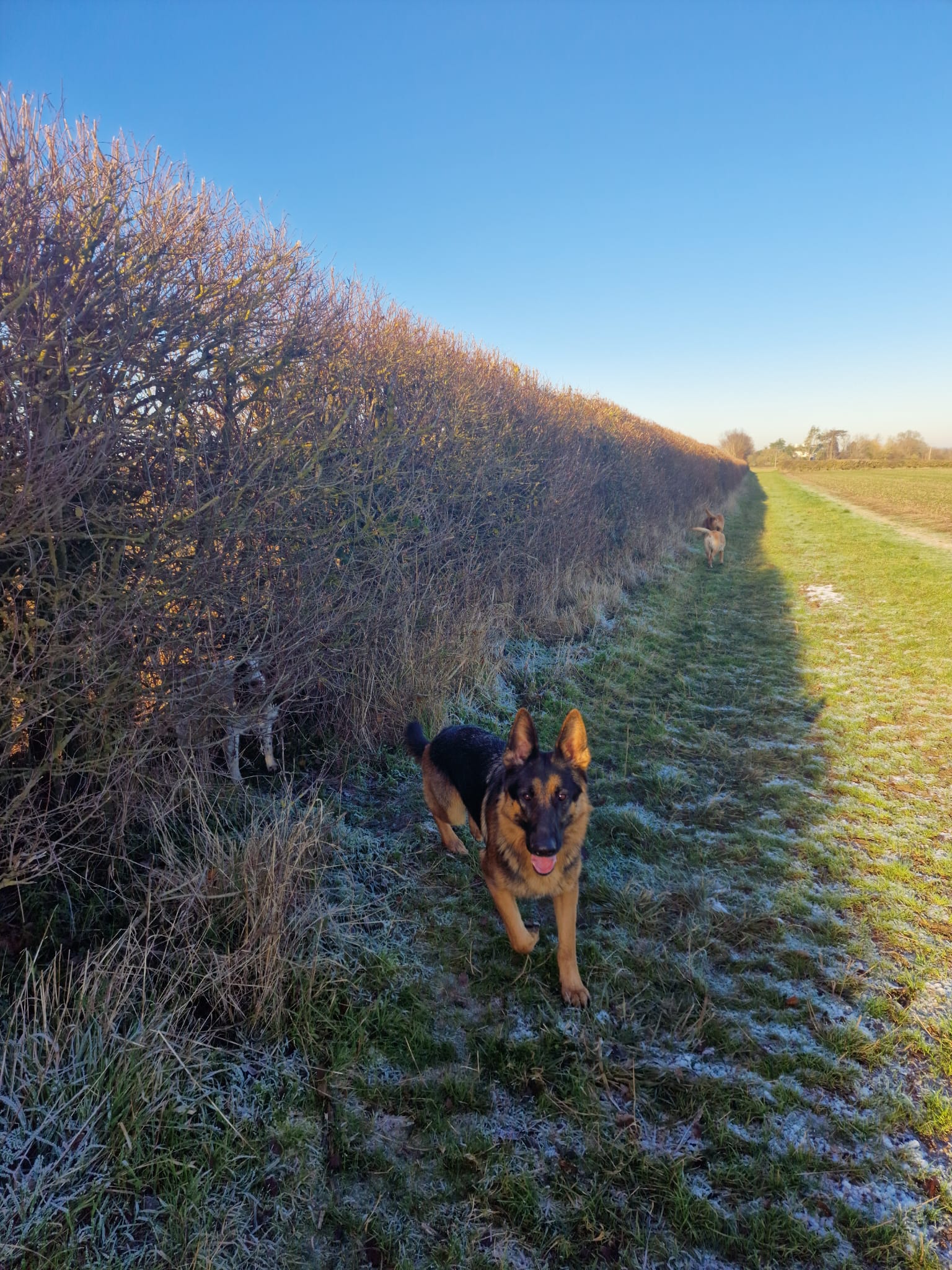 THE AMAZING SLIDESHOW ADDON!